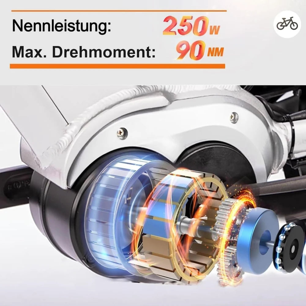 Saxonette Herren E-Bike
