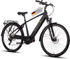 Saxonette Herren E-Bike