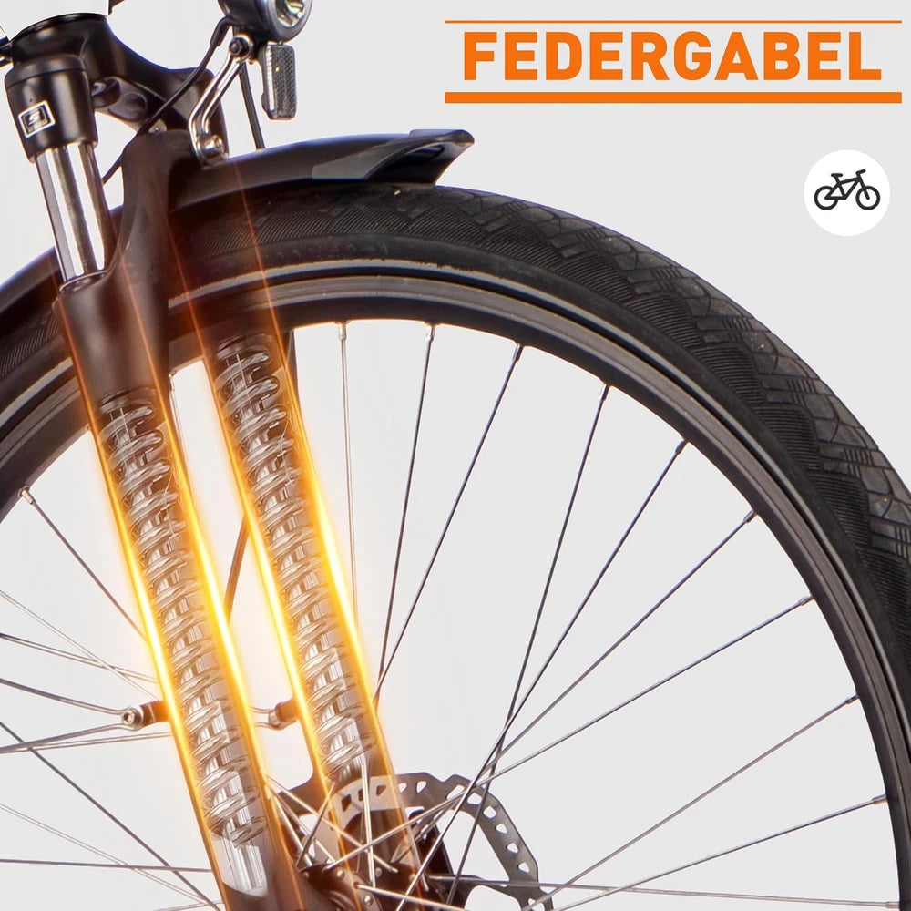 Saxonette Herren E-Bike