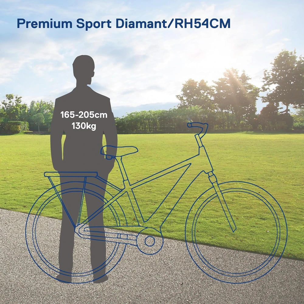 Saxonette Herren E-Bike